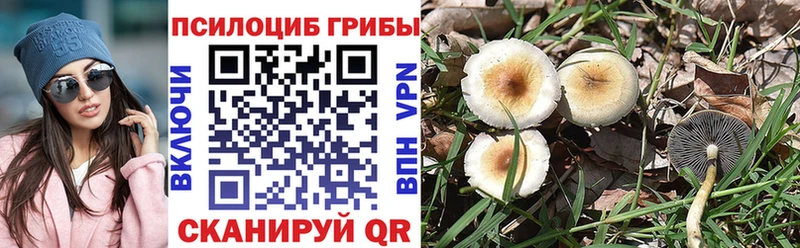 Псилоцибиновые грибы мухоморы  Мурманск 