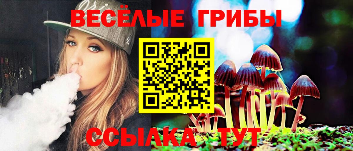 Псилоцибиновые грибы Cubensis Мурманск